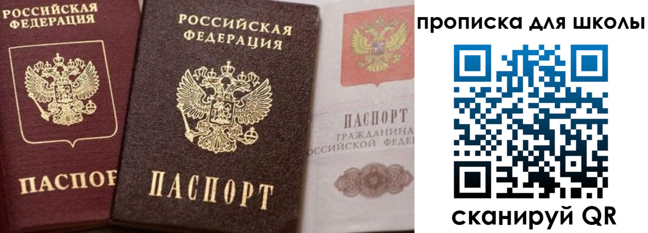 прописка законно в Бавлах